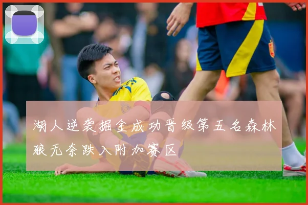 湖人逆袭掘金成功晋级第五名森林狼无奈跌入附加赛区
