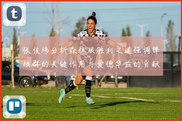 张佳玮分析森林狼胜利之道强调锋线群的关键作用与爱德华兹的贡献